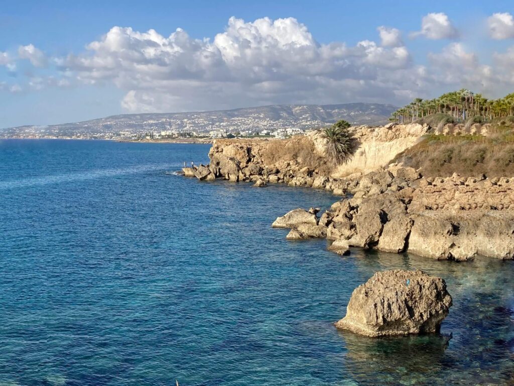 Das Bild zeigt eine malerische Küstenlandschaft in Zypern. Im Vordergrund erstreckt sich das klare, türkisfarbene Wasser des Mittelmeers, das die Felsen und Steine entlang der Küste umspült. Die Wasseroberfläche ist ruhig und lässt die darunterliegenden Felsen erkennen, was das Bild besonders lebendig erscheinen lässt. Die Küste von Paphos, Zypern ist geprägt von schroffen, braunen Felsformationen, die sich bis ins Meer erstrecken. Einige größere Felsen ragen markant aus dem Wasser heraus und schaffen ein wildes, natürliches Panorama. Rechts im Bild sind üppige Palmen zu sehen, die eine tropische Atmosphäre vermitteln. Im Hintergrund zieht sich die Küstenlinie weiter fort und gibt den Blick auf die entfernten Berge frei. Am Horizont sieht man die Siedlung von Paphos mit ihren weißen Gebäuden, die sich harmonisch in die Landschaft einfügen. Die Szenerie zeigt, warum Paphos ideal ist, wenn man sich fragt, wo in Zypern Urlaub machen. Die Kombination aus kristallklarem Wasser, dramatischen Felsformationen und tropischen Palmen bietet ein perfektes Beispiel für die vielfältige Landschaft und die malerischen Ausblicke, die Zypern zu bieten hat.