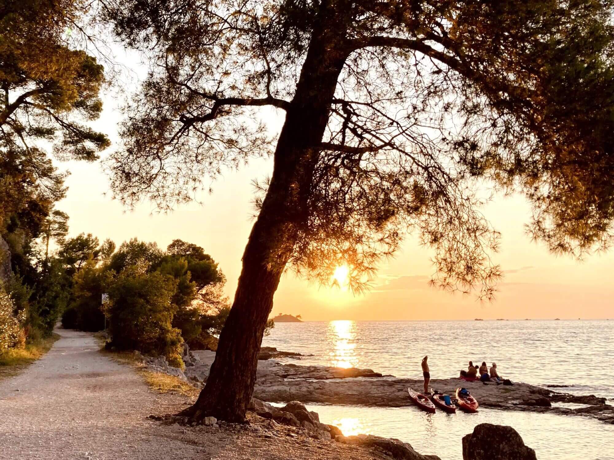 The photo captures a tranquil sunset along the Adriatic coastline, with a beautiful, sprawling tree framing the scene. The warm, golden light reflects off the sea, creating a shimmering path toward a small group of people enjoying the rocks by the water, some with kayaks, embodying the relaxed vibe of Rovinj Beaches. To the left, a winding path lined with lush greenery invites visitors to explore the natural beauty that makes Rovinj Beaches such a special destination. This is just one of the hidden gems I feature on "Travel like Local," where I post authentic travel insights for those looking to explore like a local.