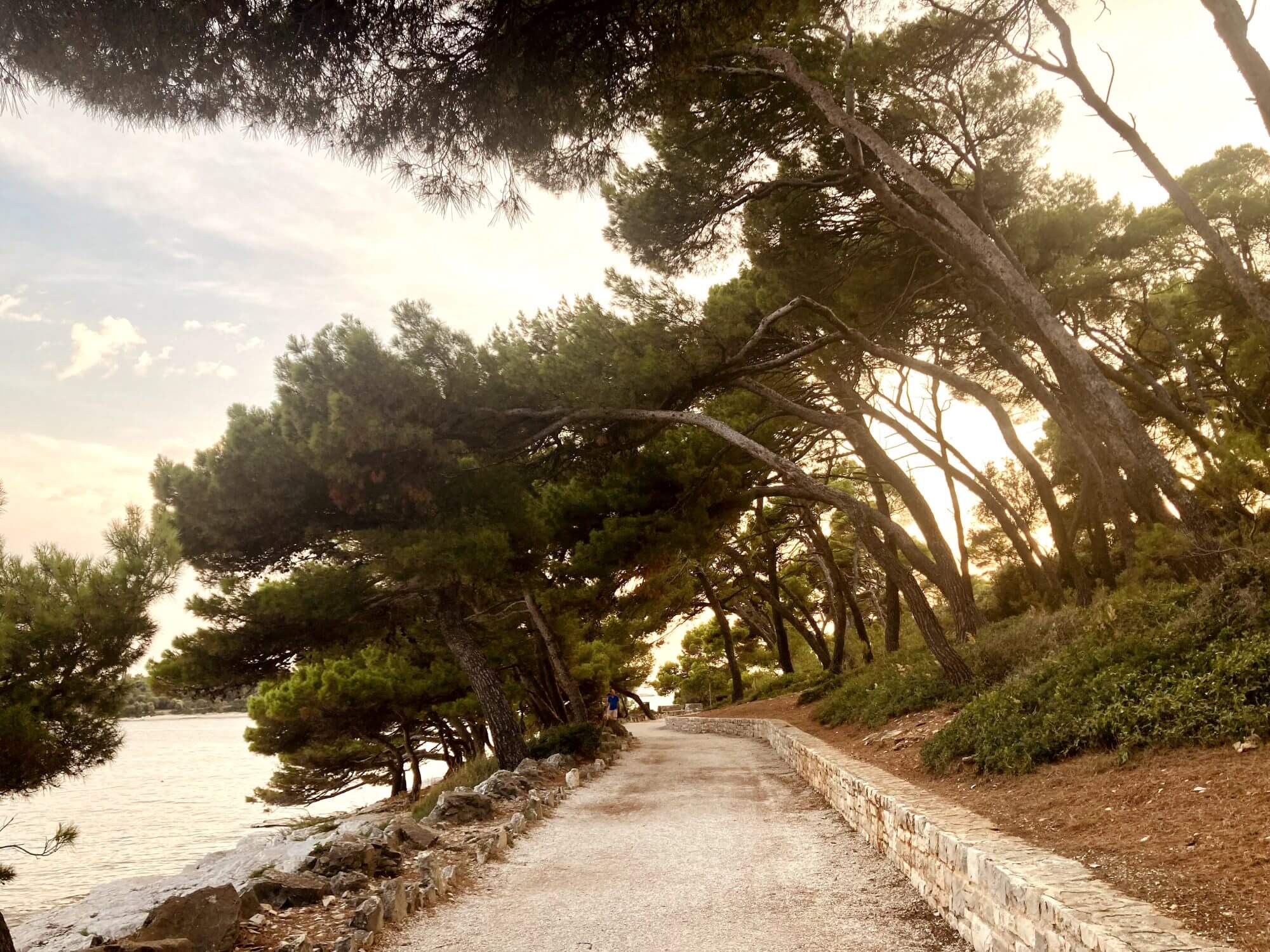 In this stunning shot from Zlatni Rt Forest Park, one of the most peaceful Rovinj beaches, we see a perfect blend of nature and tranquility. The winding path is hugged by towering pine trees, providing shade and creating a serene atmosphere, ideal for a quiet stroll or cycling. The rocky shoreline of the Adriatic Sea glistens gently on one side, adding to the natural beauty of this idyllic location. If you're looking for a true nature escape in Rovinj Croatia, the "Golden Cape" is an ideal spot to visit. It’s not just a beach, but an experience where the forest meets the sea, making it one of the must-see Rovinj beaches for nature lovers. For more local tips on Rovinj Croatia, stay tuned to Travel Like Local!