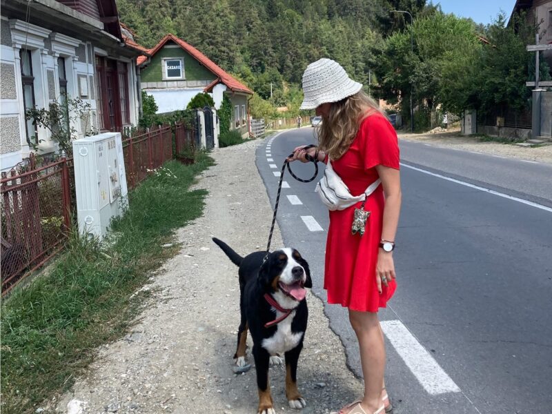 Eine junge Frau in rotem Kleid und Strohhut geht mit einem großen, freundlichen Hund am Straßenrand eines kleinen Dorfes spazieren. Die Szene wirkt ruhig und ländlich – ein typischer Moment während eines Housesitting Urlaubs, bei dem man nicht nur günstig reisen, sondern auch liebevolle Tierbegleitung genießen kann.
