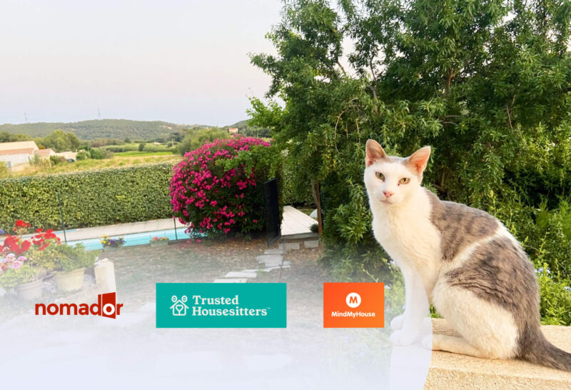 Auf dem Bild sieht man rechts im Eck eine Katze auf einer Hausmauer sitzen. Sie schaut in die Kamera, also auf ihreh Housesitter. Im Hintergrund sieht man einen Garten und einen schönen Pool. Zusätzlich sind die Logos von den Housesitting Plattformen drauf für einen Housesitting Plattform Vergleich zu machen.