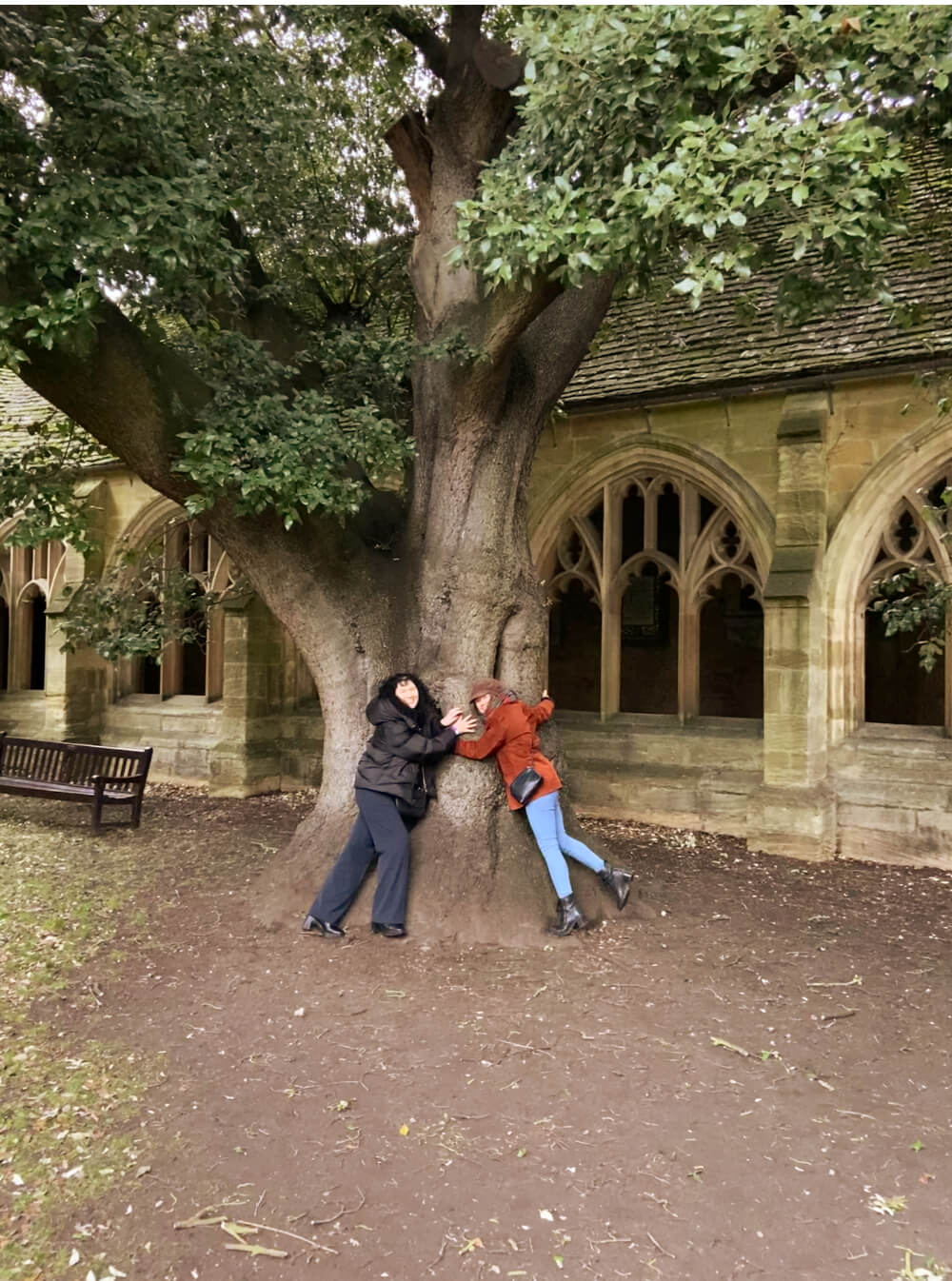 The photo shows the Harry Potter Oxford filming location where Draco Malfoy was transformed into a ferret. You can see the tree and the historic cloisters with ornate window frames in the background. Two women are hugging the tree. It is one of the most famous Oxford attractions.