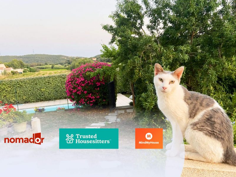 Top 3 Housesitting Plattformen im Vergleich (inkl. 25 % Rabatt)