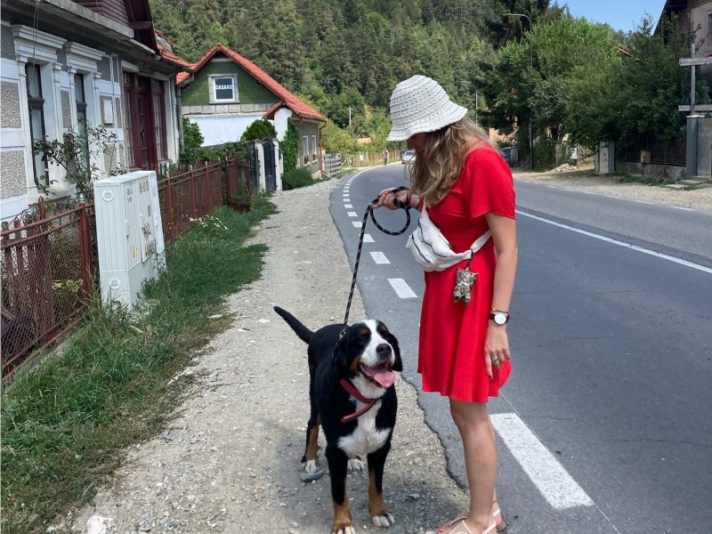 Housesitting Urlaub – Nachhaltig und Günstig Reisen